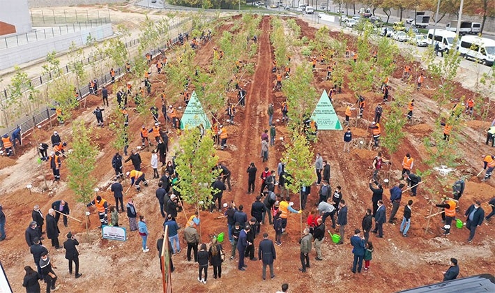 Göllüce’ye orman, Yalangoz’a lavanta bahçesi