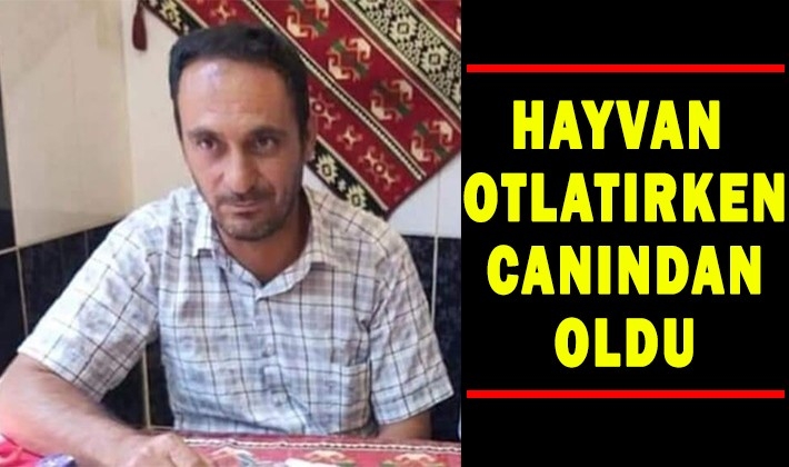 Hayvan otlatma yüzünden çıkan kavga kötü bitti: 1 ölü