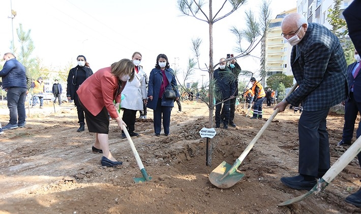 Gaziantep'te 353 metrekarelik alan ağalçandırılacak