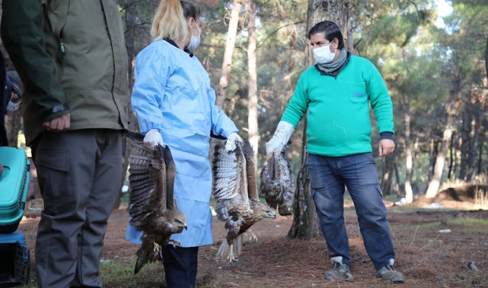 HAYVANAT BAHÇESİ’NDE TEDAVİSİ TAMAMLANAN KUŞLAR DOĞAYA BIRAKILDI