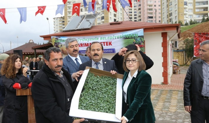 GAZİANTEP BİBER ÜRETİMİNDE SÖZ SAHİBİ OLACAK