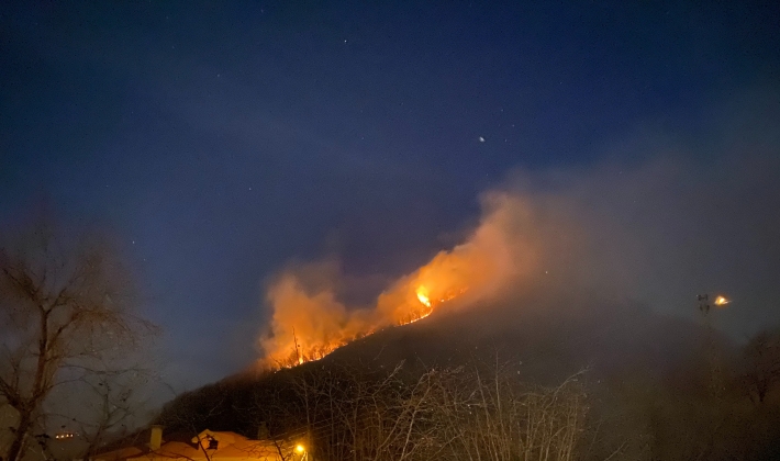 Ordu’da ormanı yangını