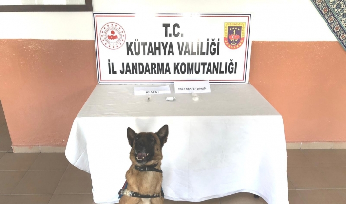 Narkotik köpeği Mola göz açtırmadı