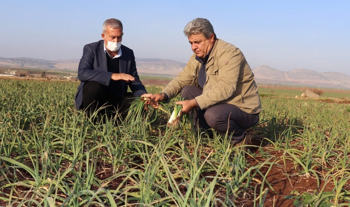 Arabanlı çiftçilerin kuraklık endişesi