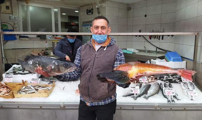 Batı Karadeniz'in incisi Akçakoca'da balık bereketi