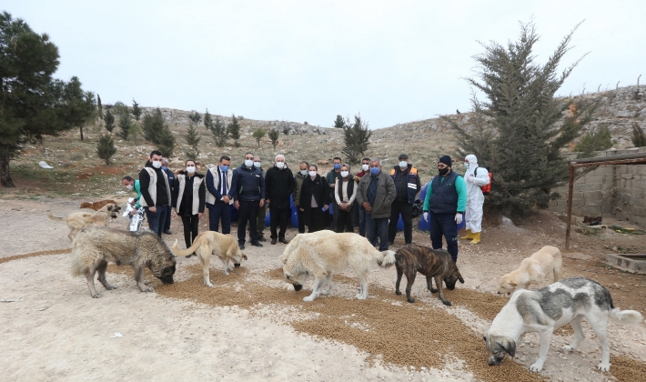 SOKAK HAYVANLARINI BESLEYEN BÜYÜKŞEHİR EKİBİNE HATİPOĞLU DA KATILDI