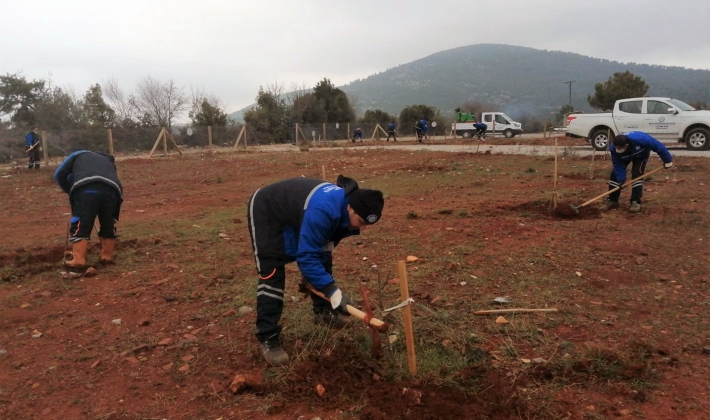 Muğla Büyükşehir’den “Hortikültürel terapi” alanı