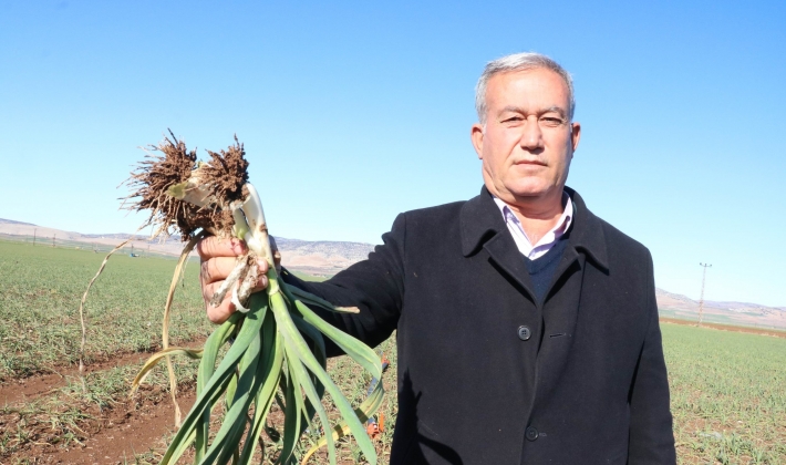 Pandeminin ilacından sevindiren haber