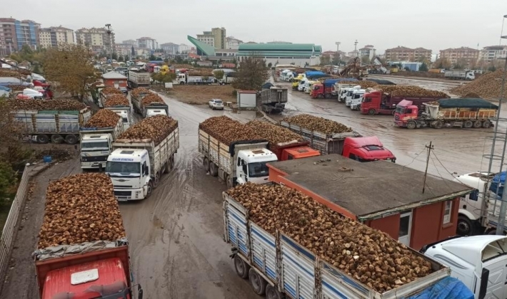 Malatya’da şeker üretiminin son günleri