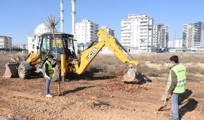 ŞAHİNBEY BELEDİYESİ 4.215.000 AĞAÇ DİKTİ