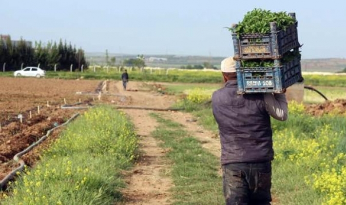 Çiftçinin dört gözle beklediği borç yapılandırması yolda