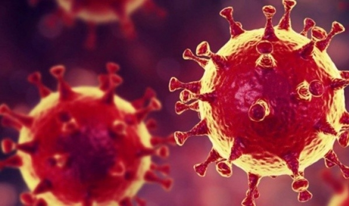 Türkiye'de son 24 saatte 20.049 koronavirüs vakası tespit edildi