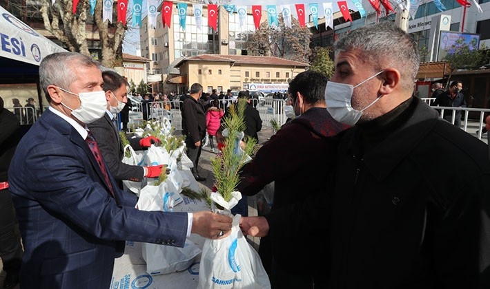 Şahinbey’de 150 bin fidan dağıtılıyor