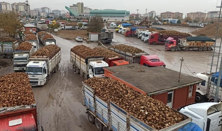 Pancar bedelleri 25 Mart'ta ödenmeye başlıyor