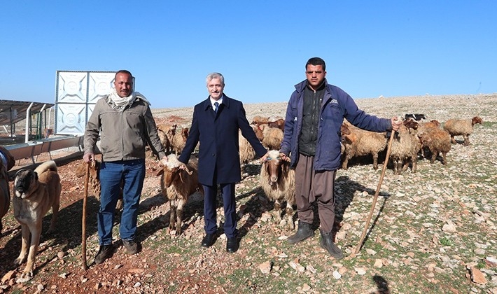 Hayvancılık gelişiyor hem yetiştirici hem ülke ekonomisi kazanıyor