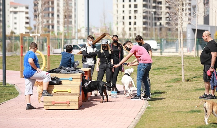 Şehitkamil'de hayvanlar için özel park