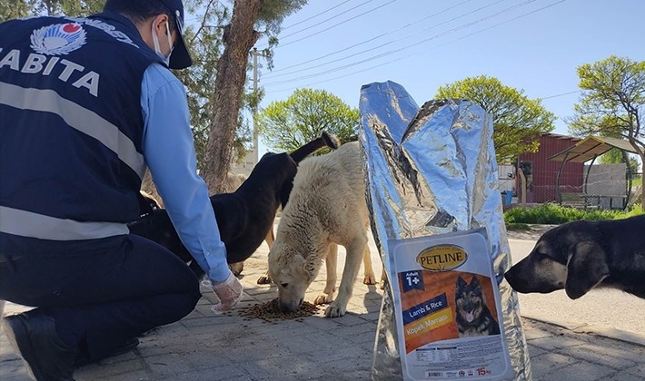 Şahinbey’de sokak hayvanları unutulmuyor