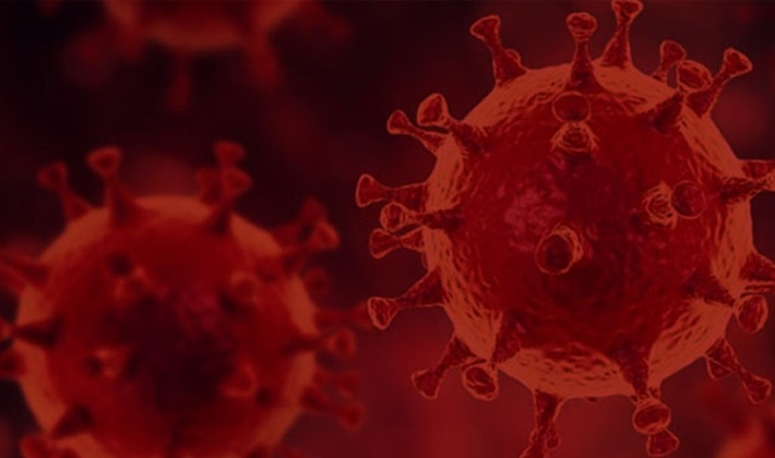 Son 24 saatte 13.029 koronavirüs vakası tespit edildi
