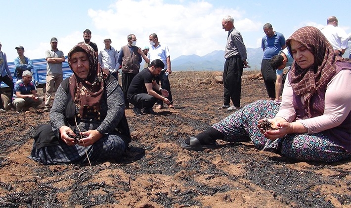 Yangında zarara uğrayan çiftçiler destek istedi