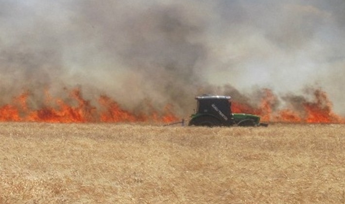 Araban'da 220 dönüm buğday tarlası yandı