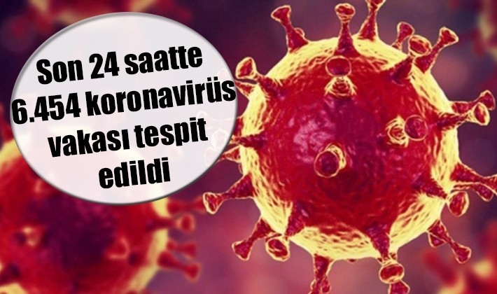 Son 24 saatte 6.454 koronavirüs vakası tespit edildi