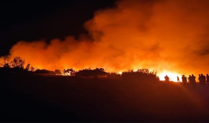 Nizip'te orman yangını
