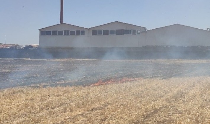 İslahiye'de anız yangını az kalsın fabrikayı yok ediyordu