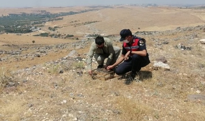 Özel düzenekle saka kuşu avlayan kaçak avcılar jandarmaya yakalandı