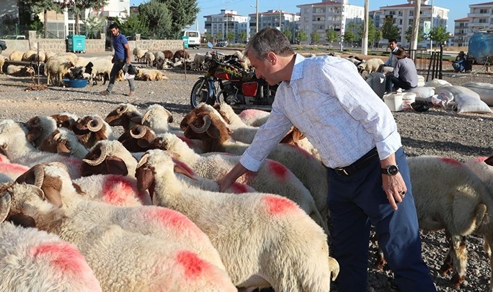 Şahinbey'de kurban satış ve kesim yerleri belirlendi